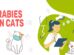 Rabies In Cats