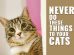 Things You Should Never Do To Your Cat