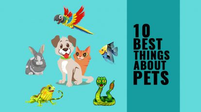 Benefits of pets