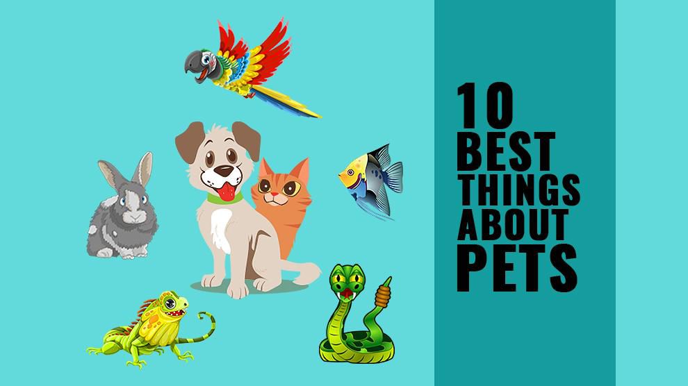 Benefits of pets