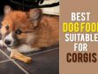 Best Dog Food For Corgis