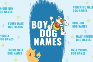 Boy Dog Names
