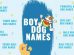 Boy Dog Names