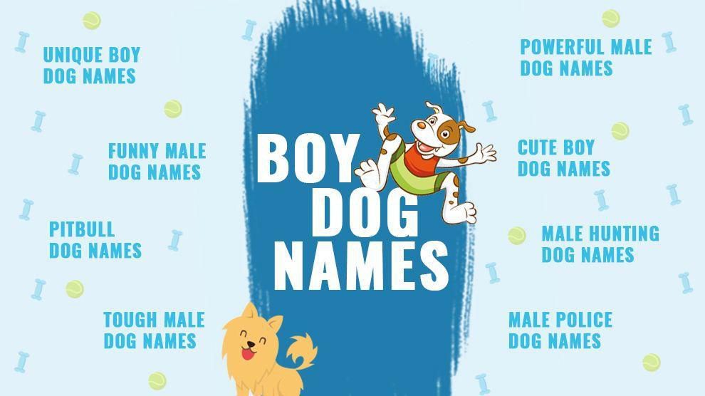 200+ Cool Male Dog Names and Meanings - PetHelpful