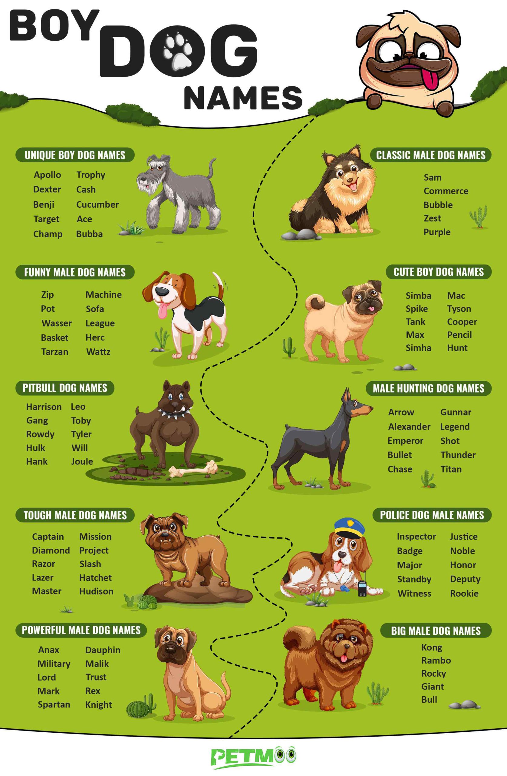 Boy Dog Names Infographic