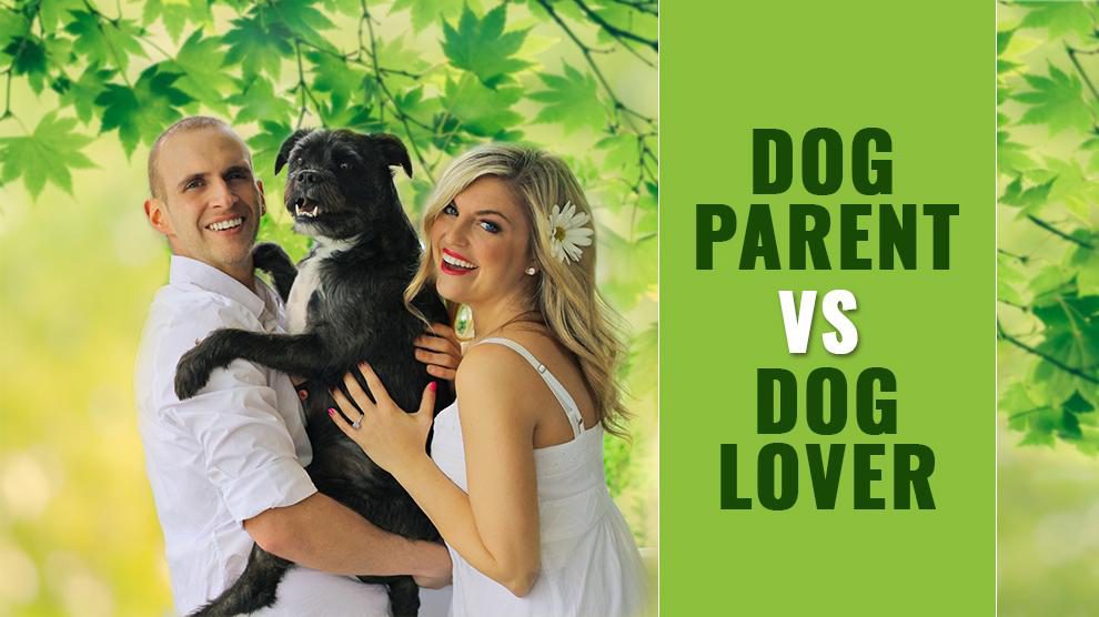 Dog Parent Vs. Dog Lover