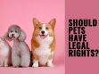 Pets Rights