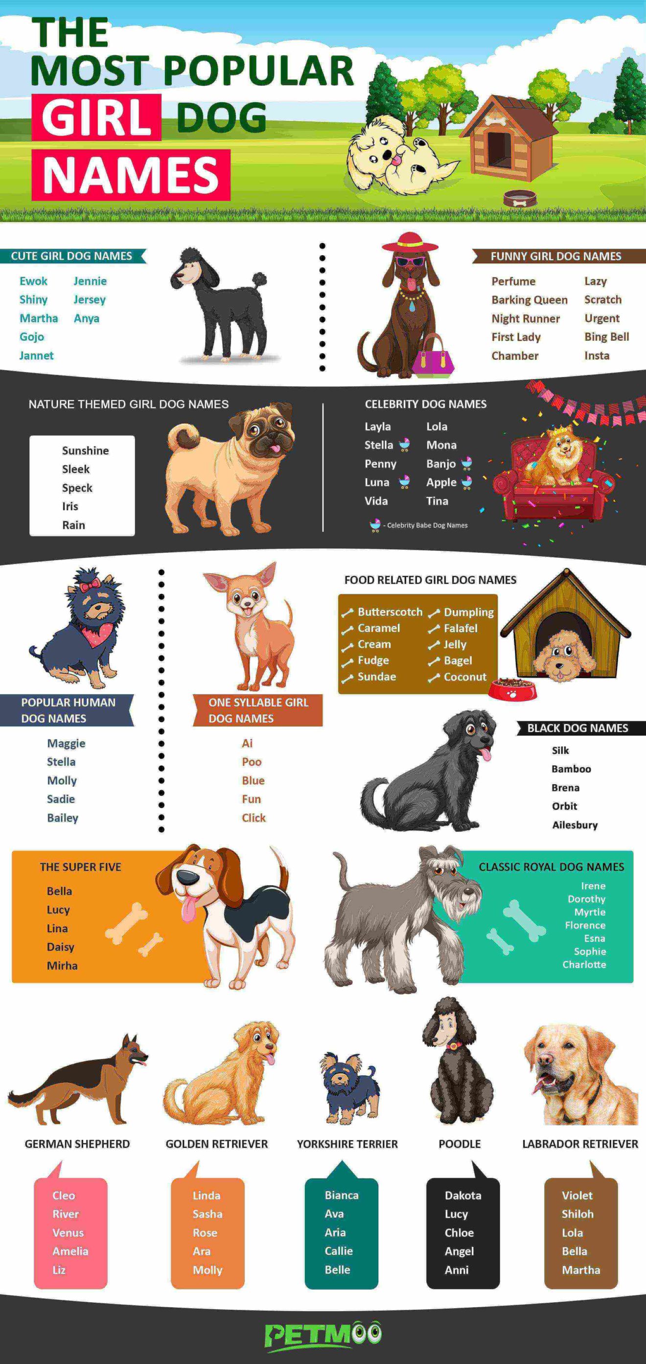 Girl Dog Names Top Female Dog Names Of 2023 Backed With Vibrant
