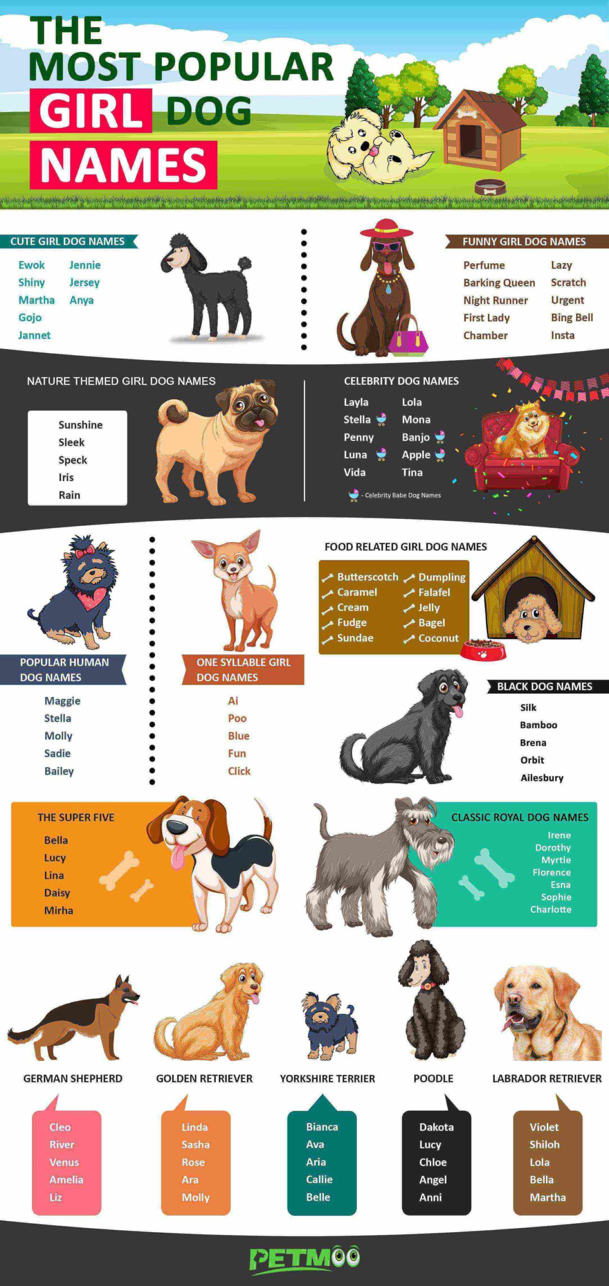 Girl Dog Names Infographic