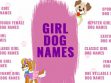 Girl Dog Names