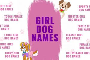 Girl Dog Names