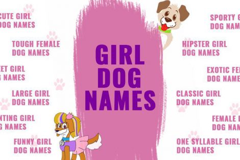 Girl Dog Names