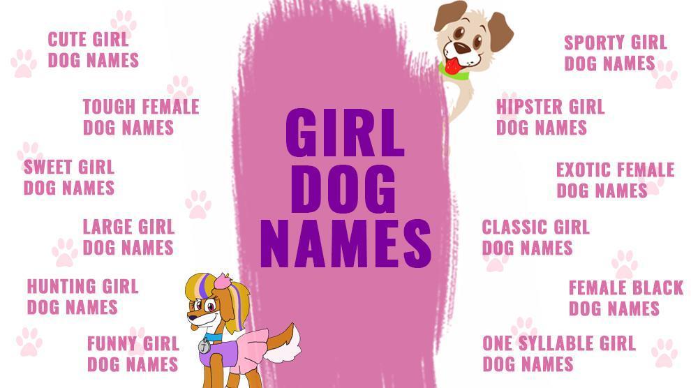 Girl Dog Names Top Female Dog Names Of 2022 Backed With Vibrant - Petmoo