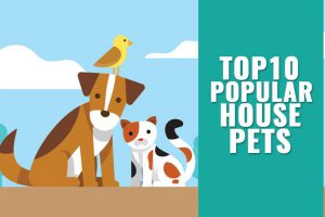 Popular House Pets