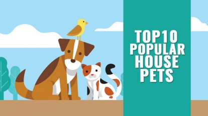 Popular House Pets