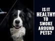 Secondhand Smoke And Pets
