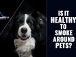 Secondhand Smoke And Pets