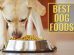 Best Dog Foods