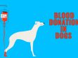 Dog Blood Donation