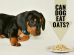 Can Dogs Eat Oatmeal?