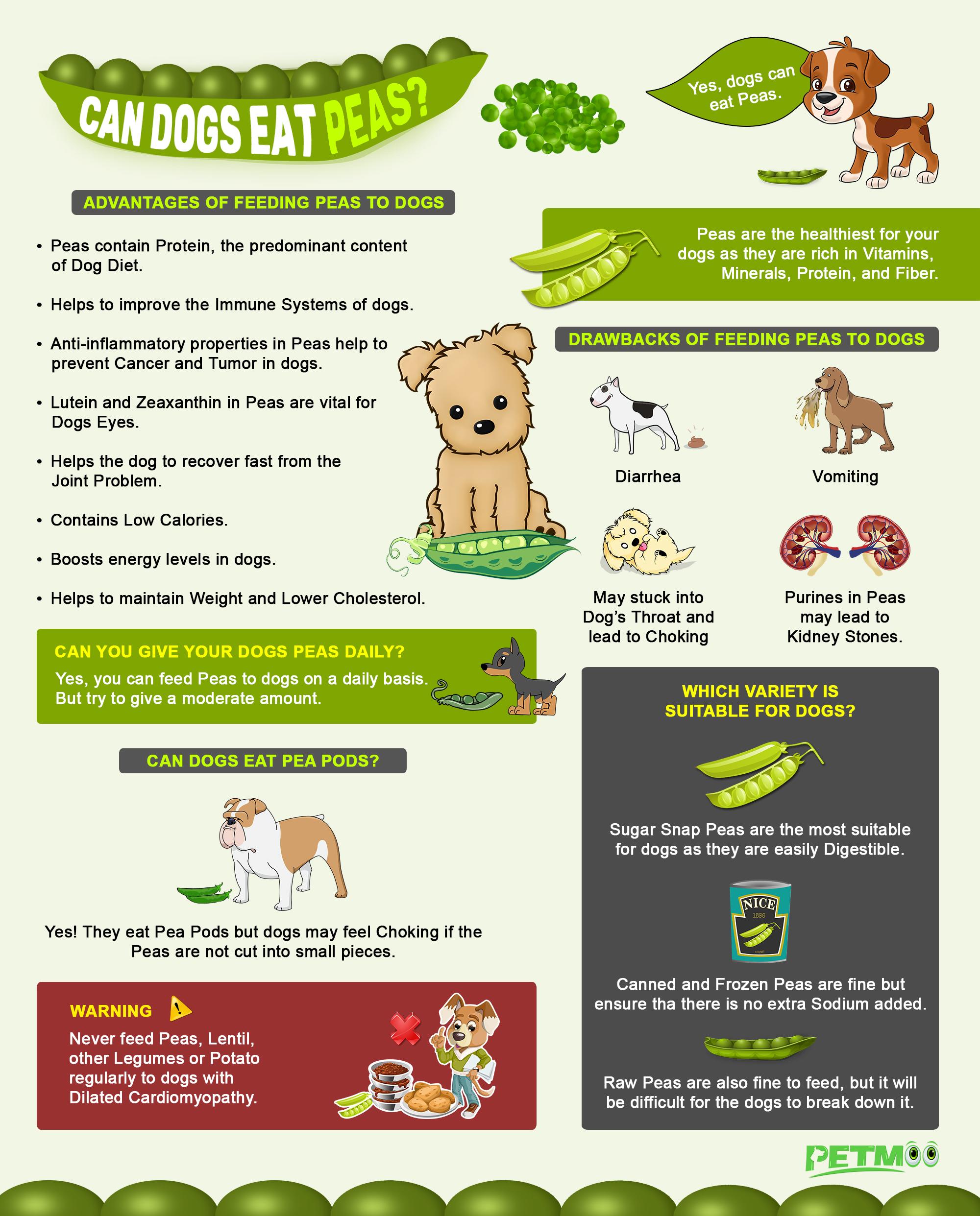 Can Dogs Eat Peas Infographics