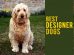 Designer Dogs