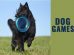 Dog Games