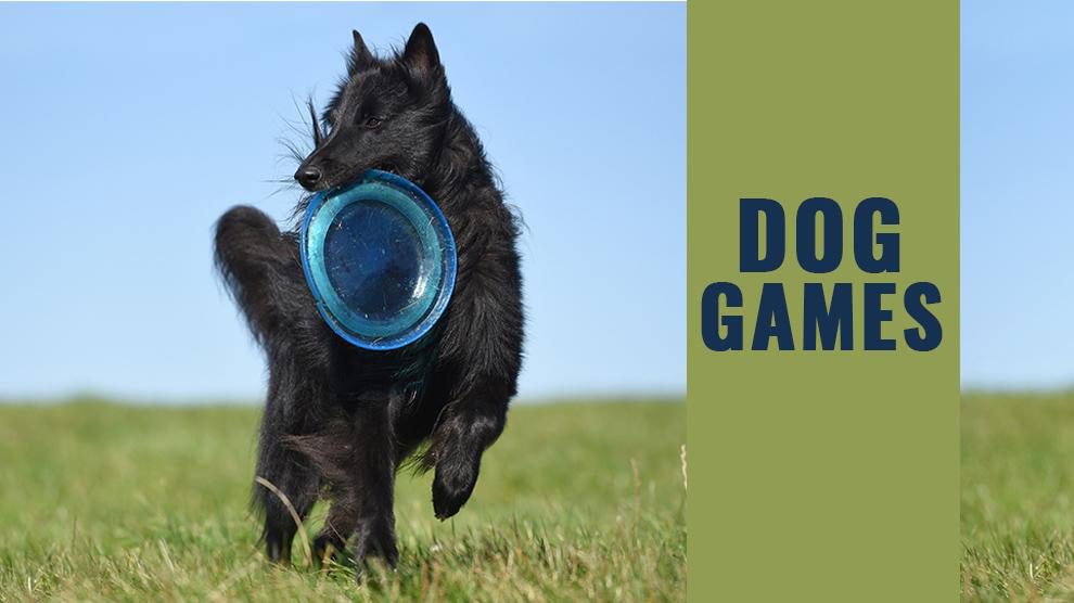 Dog Games