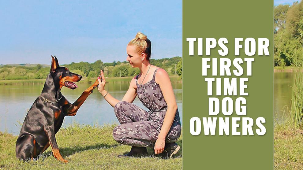 First Time Dog Owners 10 Vital Dog Care Hacks And Tips Petmoo