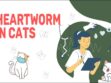 Heartworm Disease In Cats