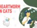 Heartworm Disease In Cats