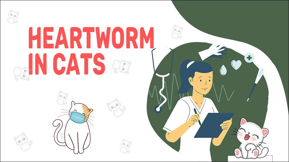 Heartworm Disease In Cats