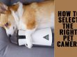 How To Select The Right Pet Camera?
