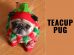 Teacup Pug