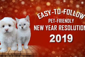 New Year Resolutions For Pet Lovers