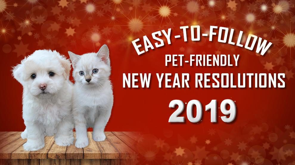 New Year Resolutions For Pet Lovers