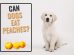 Can Dogs Eat Peaches?
