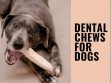 Dental Chews For Dogs