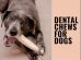 Dental Chews For Dogs