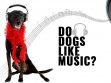 Do-Pets-Love-Bob-Marley-Songs