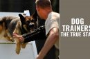 Dog Trainers