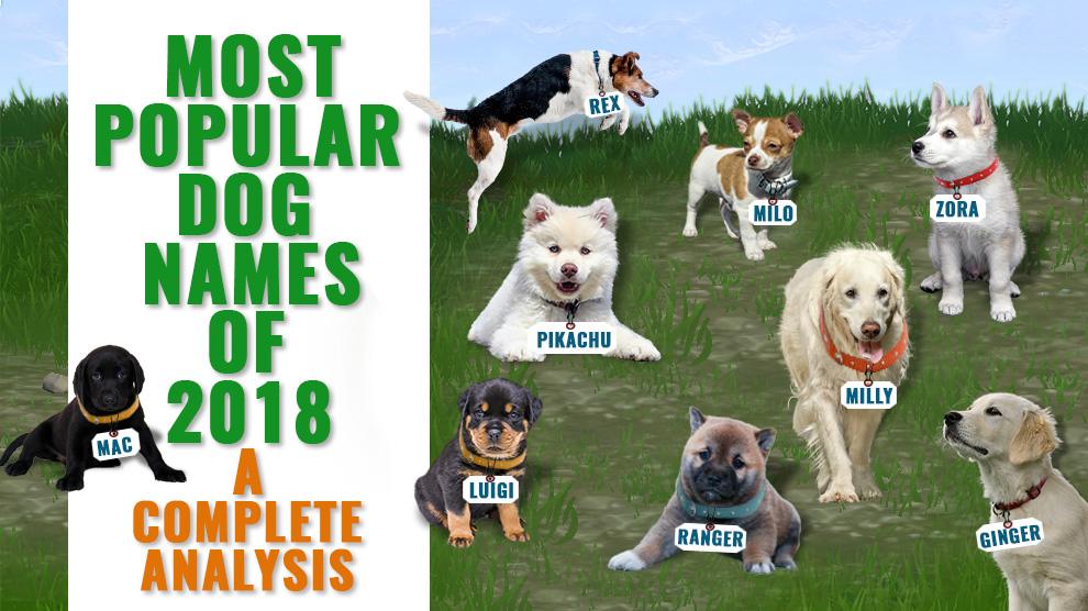 Most popular dog names sales 2018