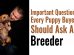 Questions To Ask A Breeder