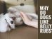 Why Do Dogs Like Belly Rubs?