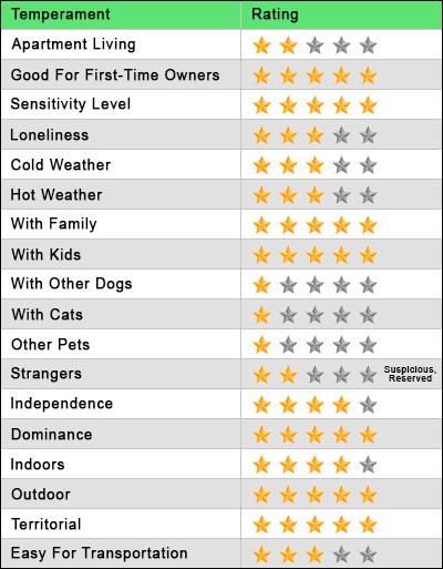 Blue Nose Pitbull Temperament