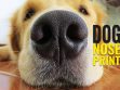 Dog Nose Print