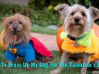 Dog Valentine Costume