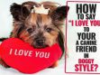 Say “I Love You” To Your Dog