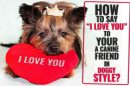 Say “I Love You” To Your Dog