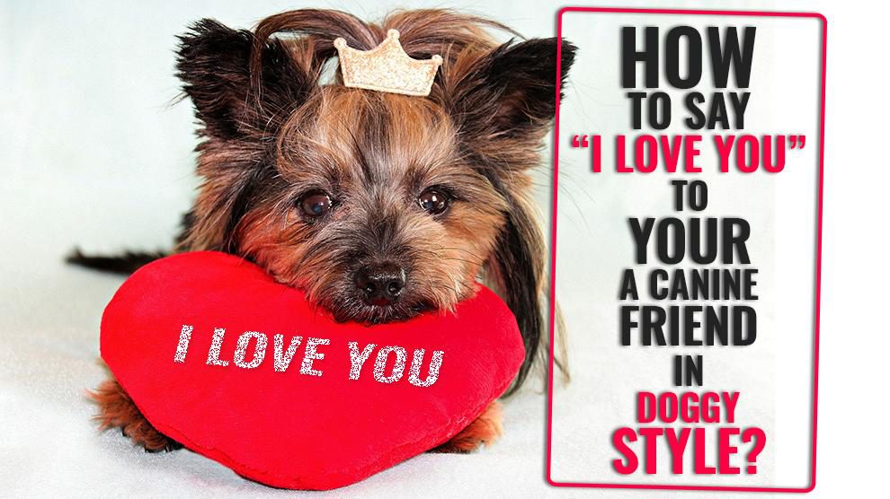 Say “I Love You” To Your Dog